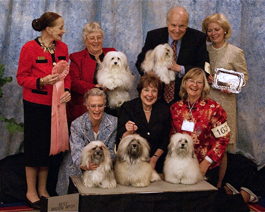 Champion Saucy, at Havanese National Specialty show, winning "Best Brood Bitch" and her Champion show progeny.